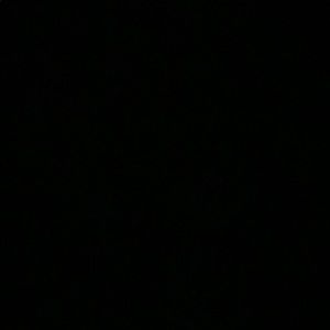 Meet your Posher, Zevi